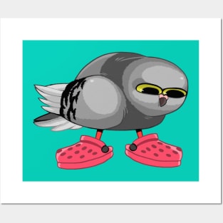 Pigeon in Crocs Posters and Art